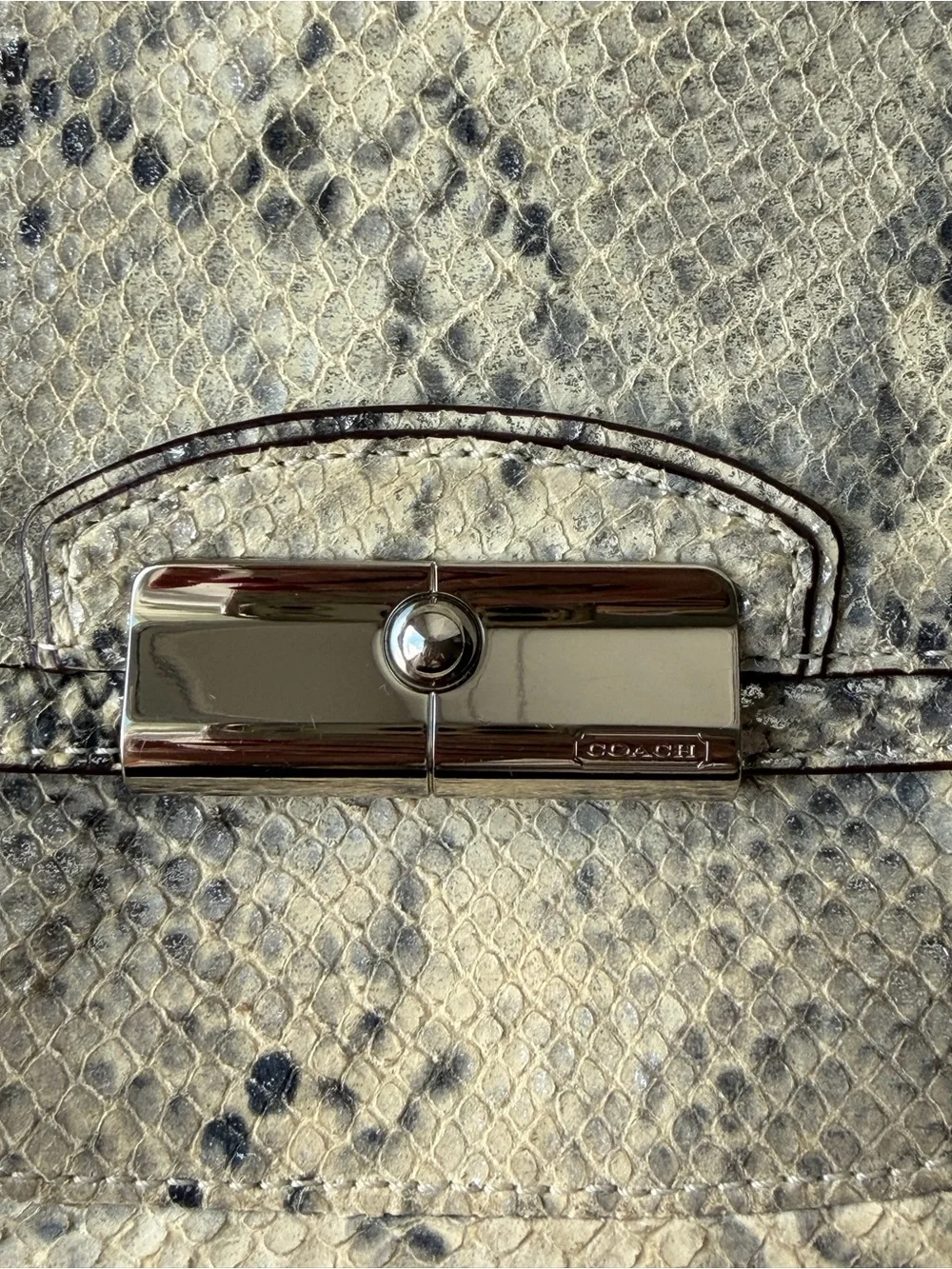 Coach Kristin Python Embossed Leather Crossbody Bag Silver Chain